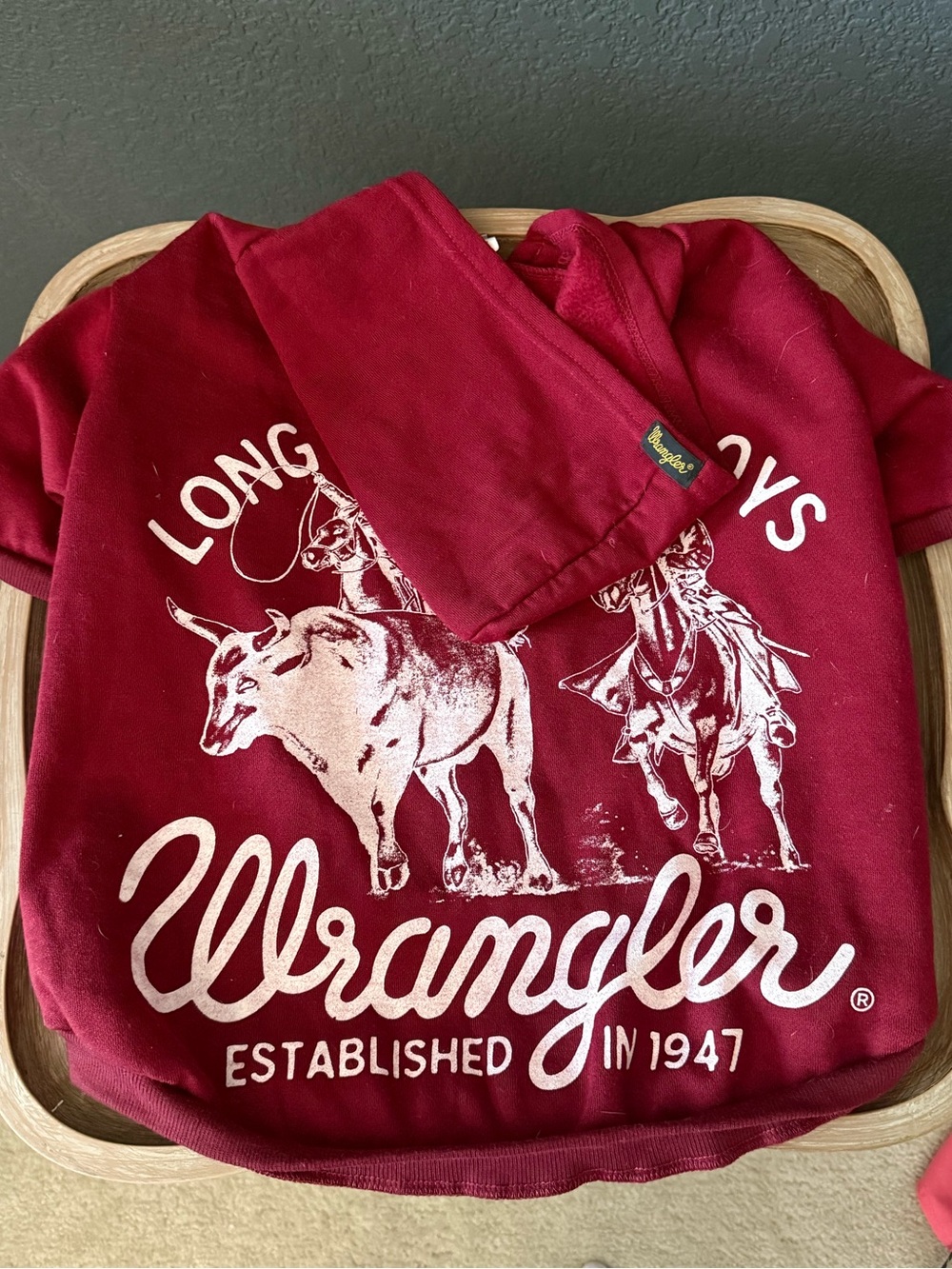 Wrangler Dog Graphic Hoodie with Longhorn Print